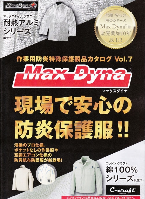 年間 Max Dyna